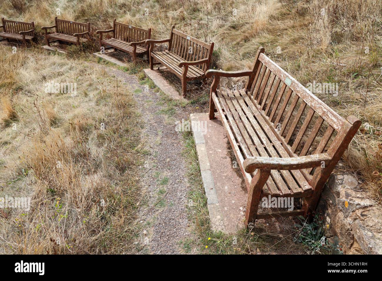 Fila di vecchie panchine commemorative in legno a Sidmouth, nel Devon orientale Foto Stock