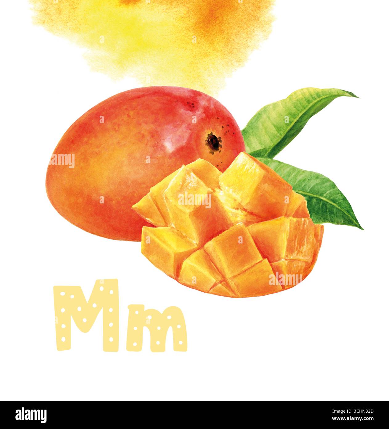 Acquerello realistico illustrazione Mango, esotico Tropical Fruit Alphabet Collection Foto Stock Acquerello realistico illustrazione Mango, esotico Tropical Fruit Alphabet Collection Foto Stock