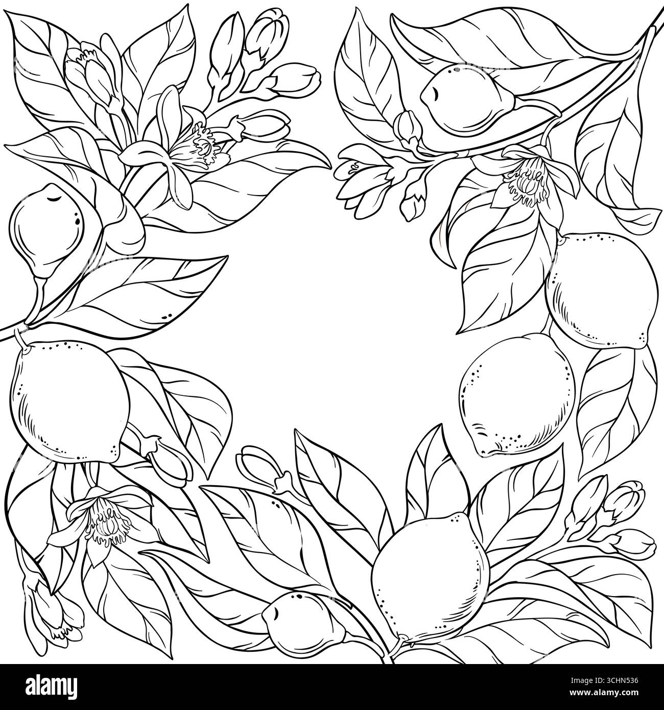 Ramificazione lime con cornice Fruit Outline. Illustrazione Vettoriale