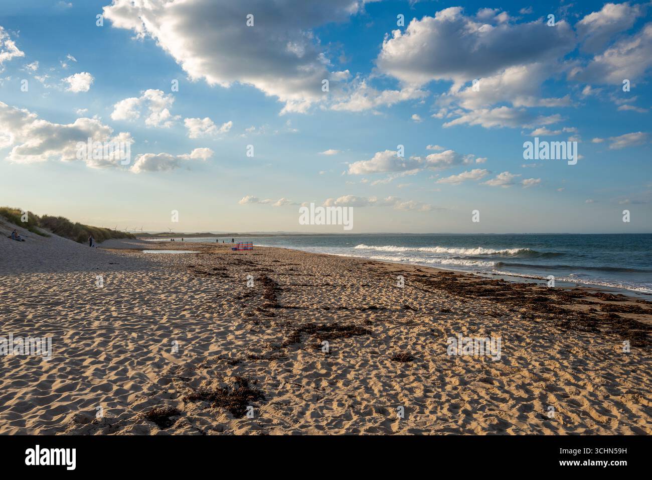 Drudge Bay, Northumberland con la bassa marea. Foto Stock