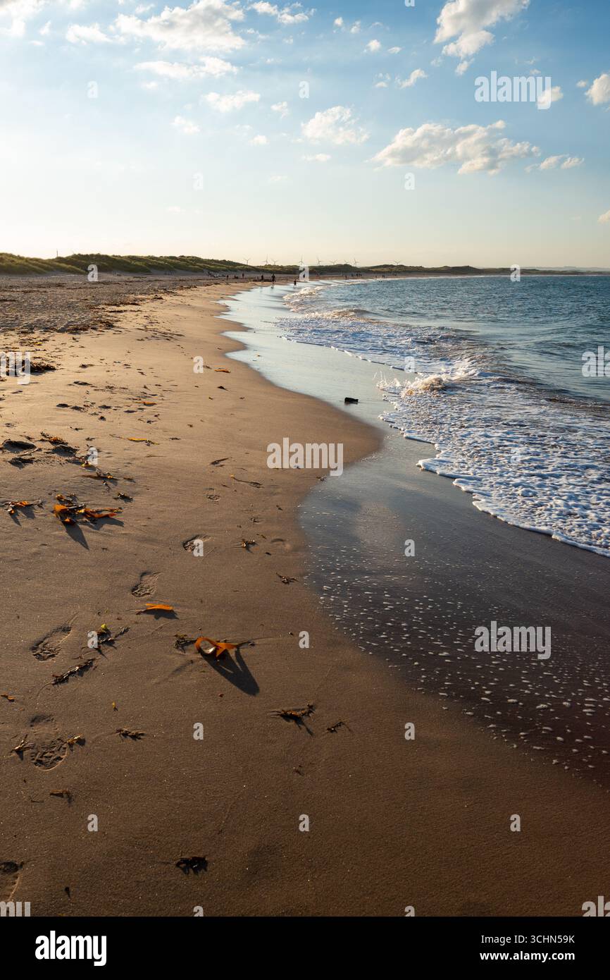 Drudge Bay, Northumberland con la bassa marea. Foto Stock
