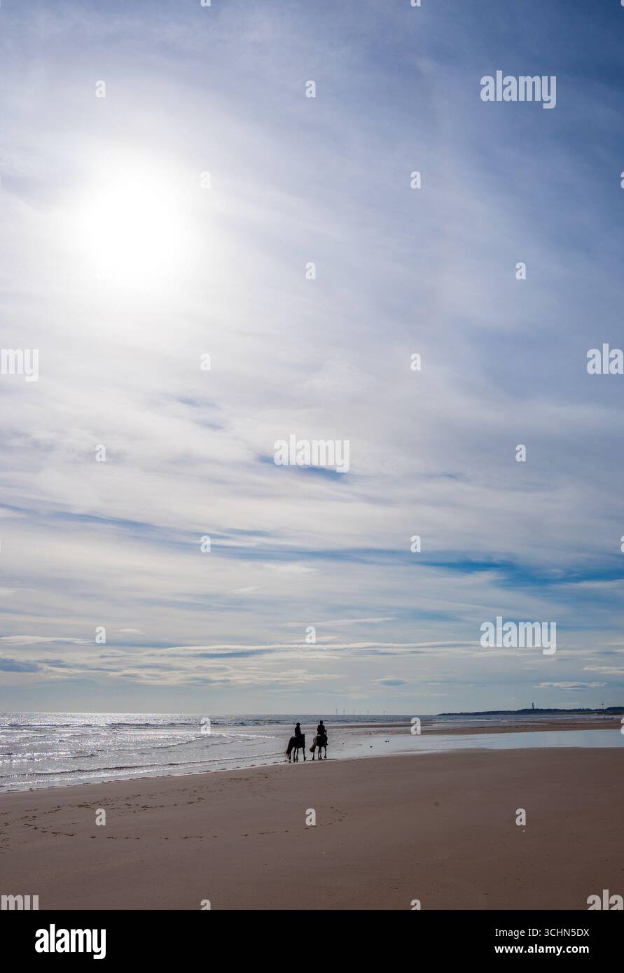 Due cavalli che si allenano lungo la spiaggia di Drudge Bay con la bassa marea Foto Stock