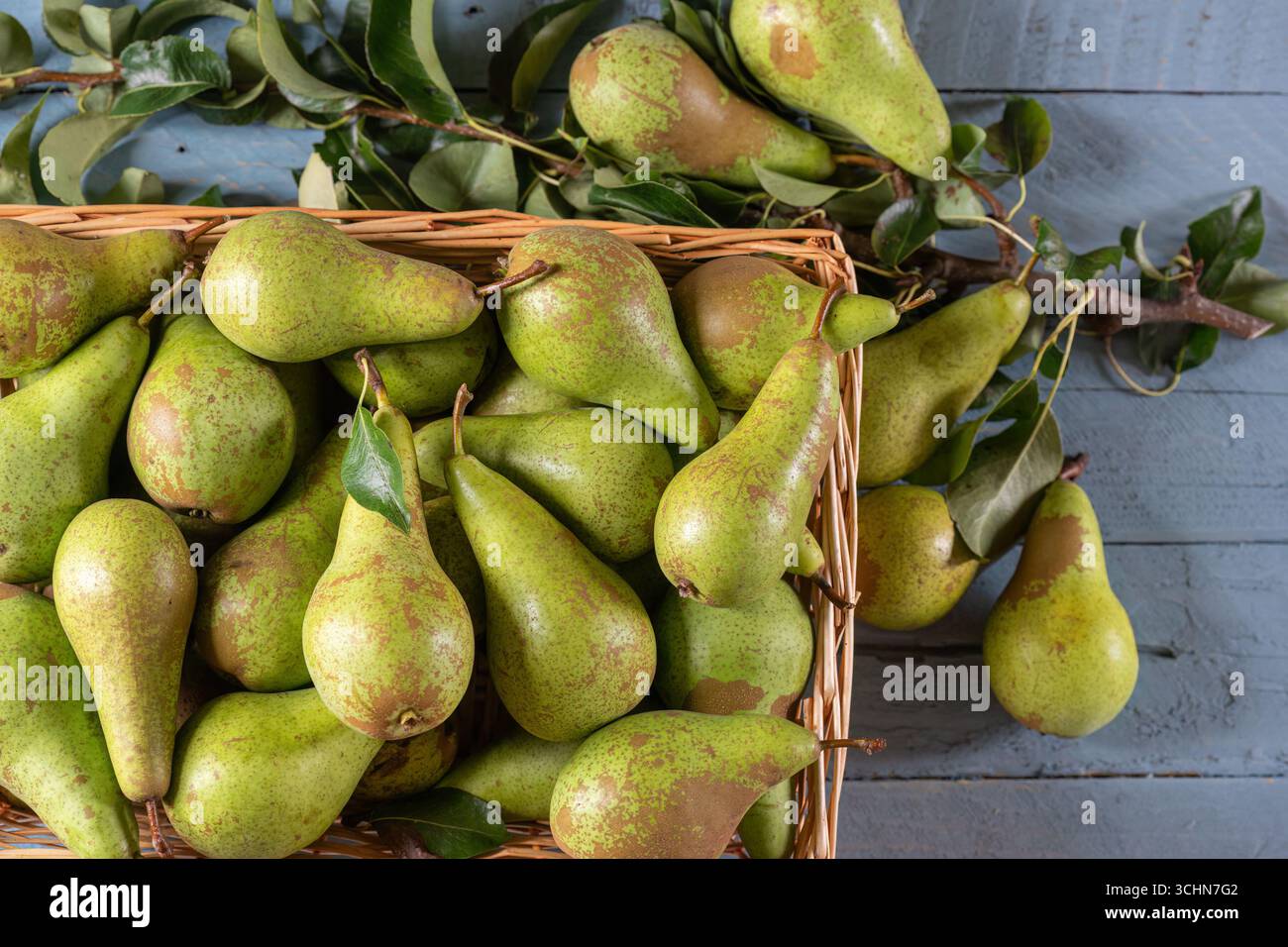 Pere per conferenze di nuova stagione Foto Stock