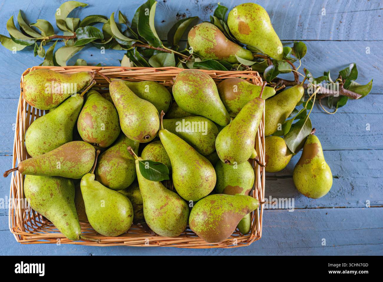 Pere per conferenze di nuova stagione Foto Stock