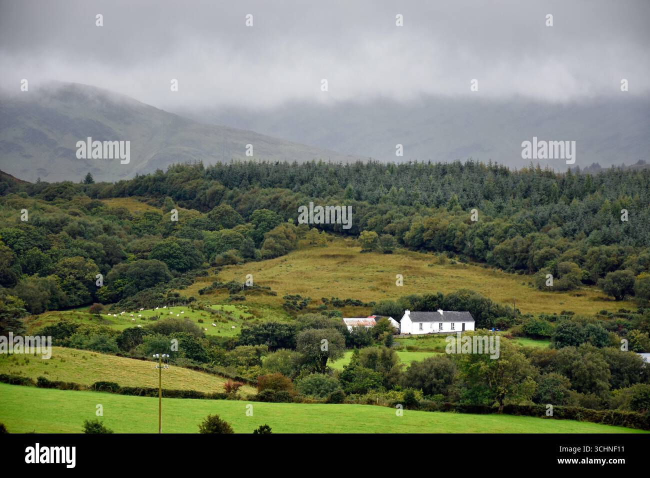 Piccola azienda agricola di pecore nella contea rurale di Donegal, irlanda. Foto Stock