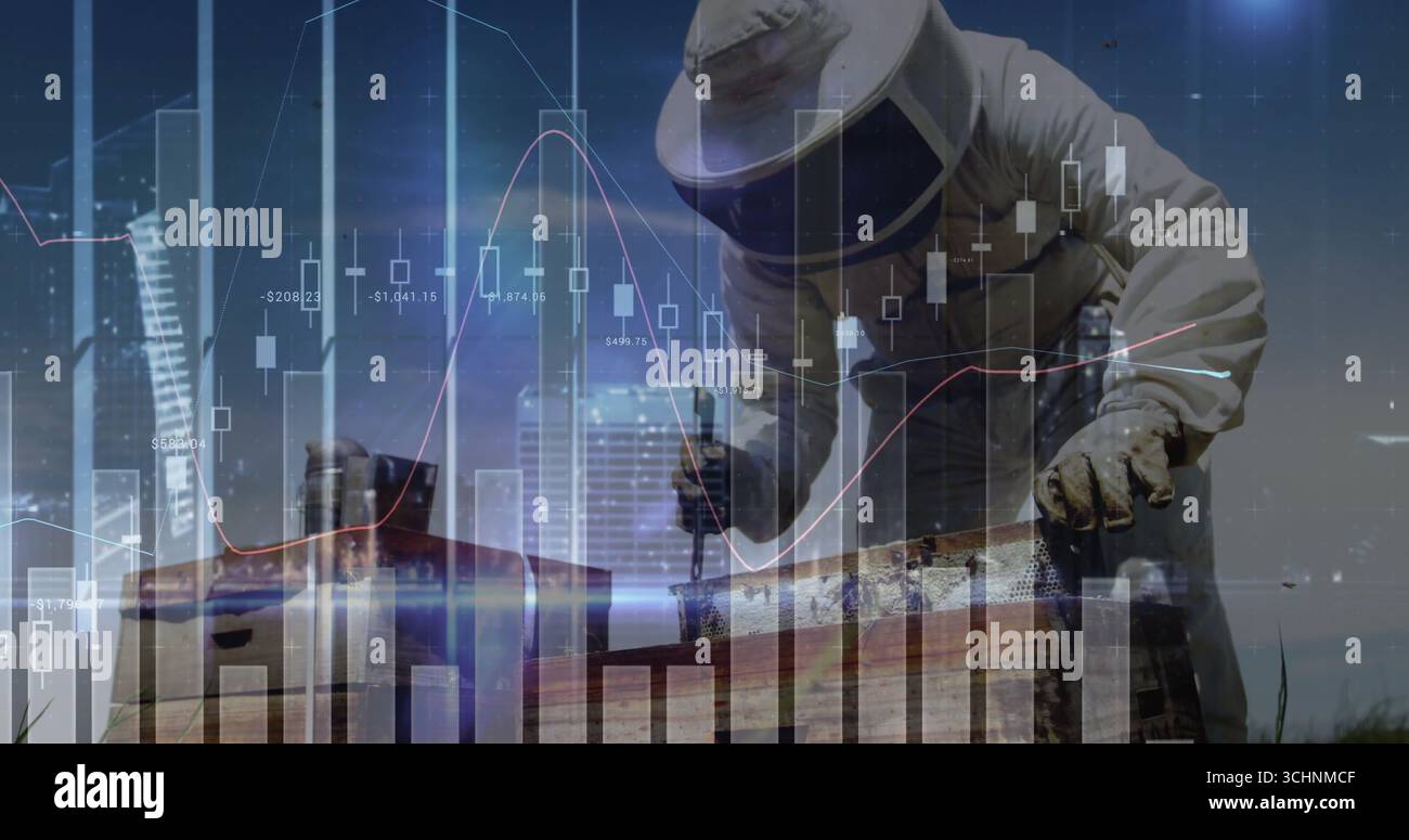 Apicoltore pendente in tuta velata con lo strumento alveare che raschia l'alveare contro lo skyline, con sovrapposizione cartografica Foto Stock