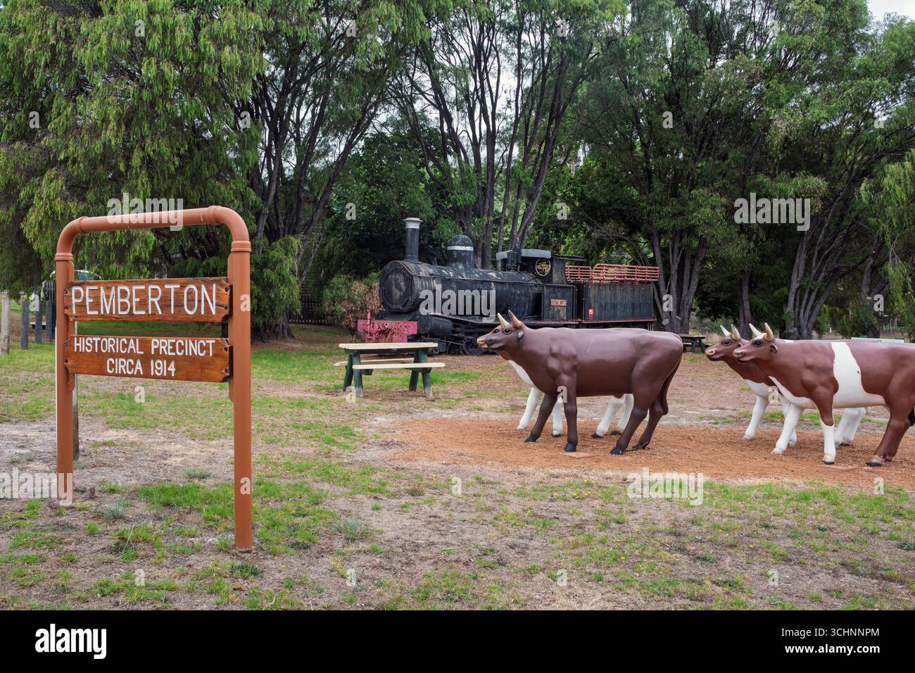 Una storica locomotiva a vapore che è una mostra pubblica nel centro di Pemberton, Australia Occidentale Foto Stock