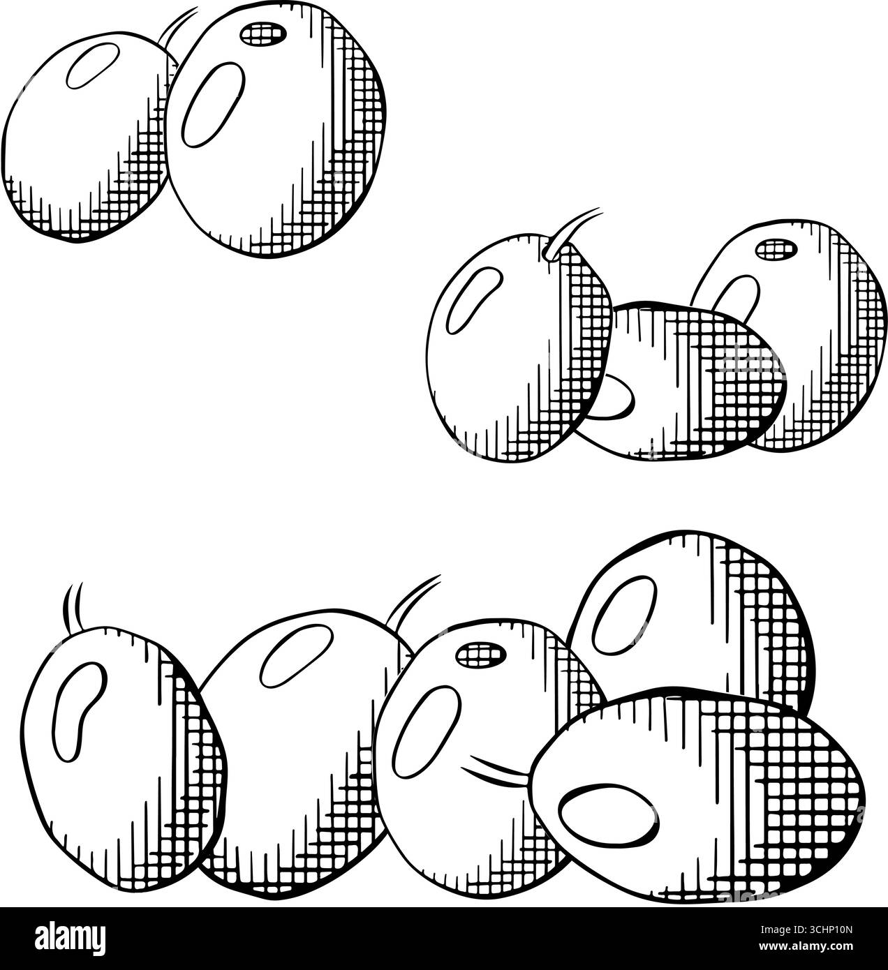 Composizione di bacche di ulivo bianco e nero. Illustrazione dell'inchiostro con linee grafiche vettoriali. Bacche greche fresche. Utilizzabile per pacchetti cosmetici, negozi, salone benessere Illustrazione Vettoriale