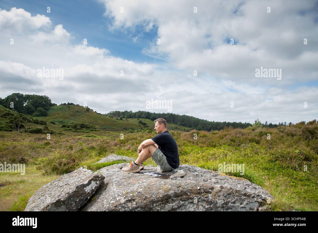uomo seduto su una grande roccia in un paesaggio brufero che gode della natura e della luce del sole, uomo nordico che sta bene in natura. Foto Stock