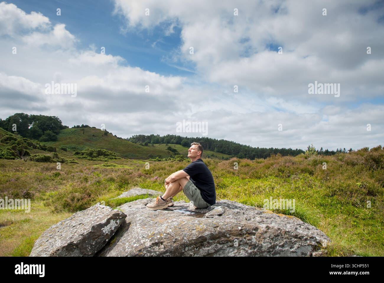 uomo seduto su una grande roccia in un paesaggio brufero che gode della natura e della luce del sole, uomo nordico che sta bene in natura. Foto Stock