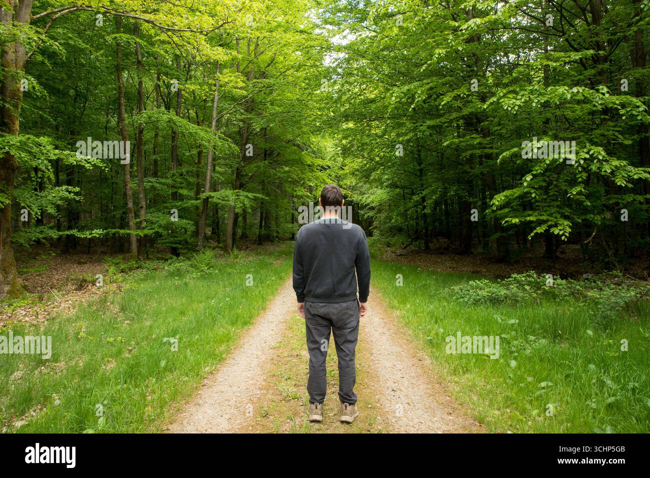 uomo solitario in piedi nella foresta primaverile sulla vista posteriore del sentiero pedonale, immagine simbolica di un uomo solitario sul sentiero nella foresta verde Foto Stock