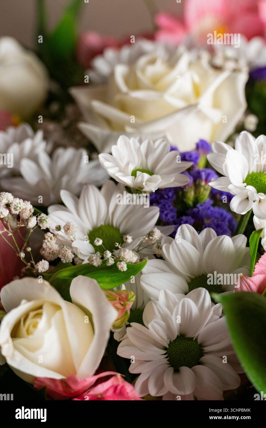 Primo piano di alstroemeria rosa, margherite bianche e rose nel verde lussureggiante, con un morbido sfondo bokeh, perfetto per temi floreali e decorativi Foto Stock