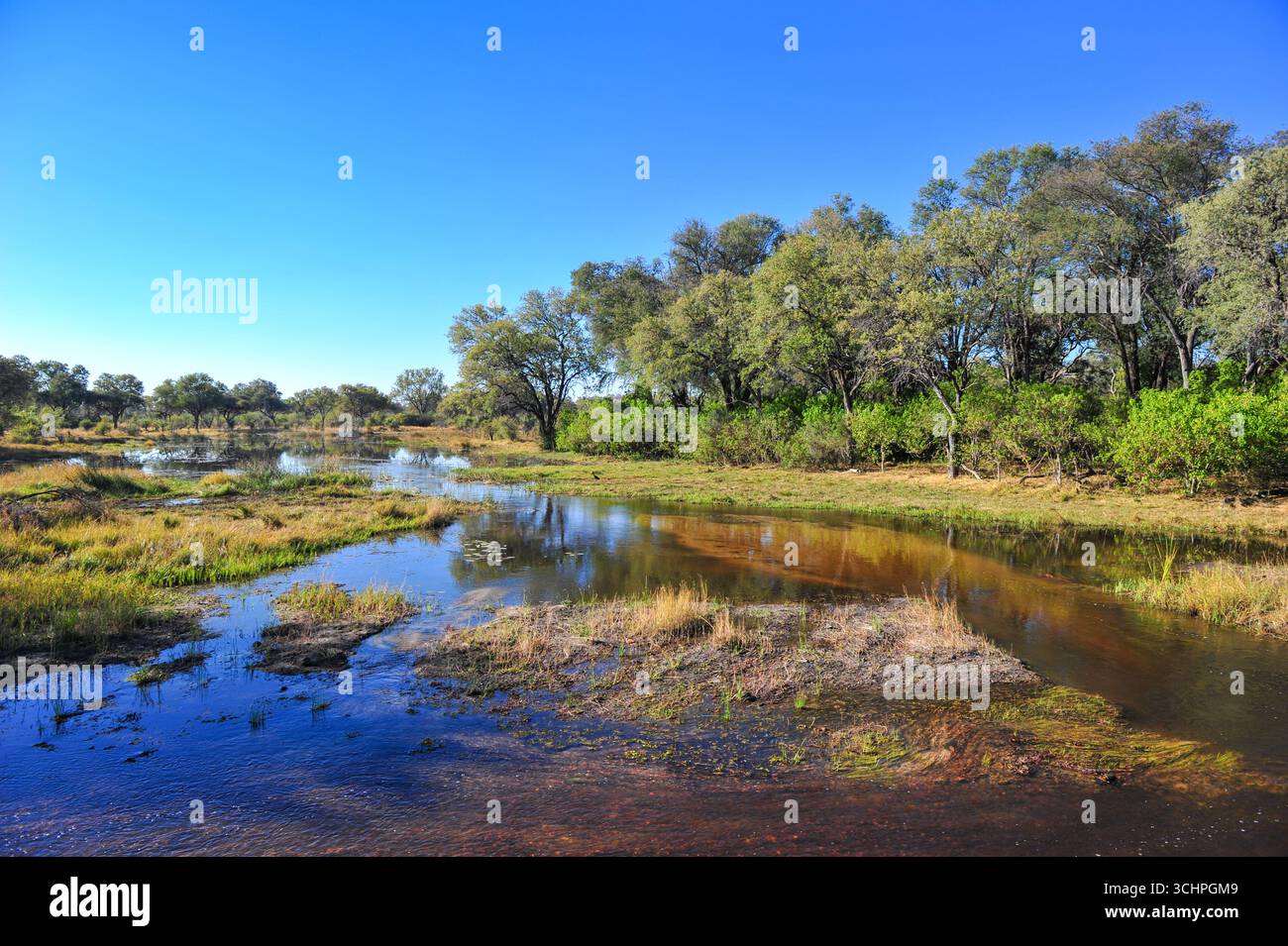 Scenario generale nel Delta dell'Okavango il 12 giugno 2012 a Okavango, Botswana. (Foto di Chris ricco) Foto Stock
