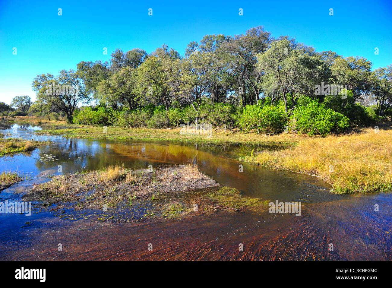 Scenario generale nel Delta dell'Okavango il 12 giugno 2012 a Okavango, Botswana. (Foto di Chris ricco) Foto Stock