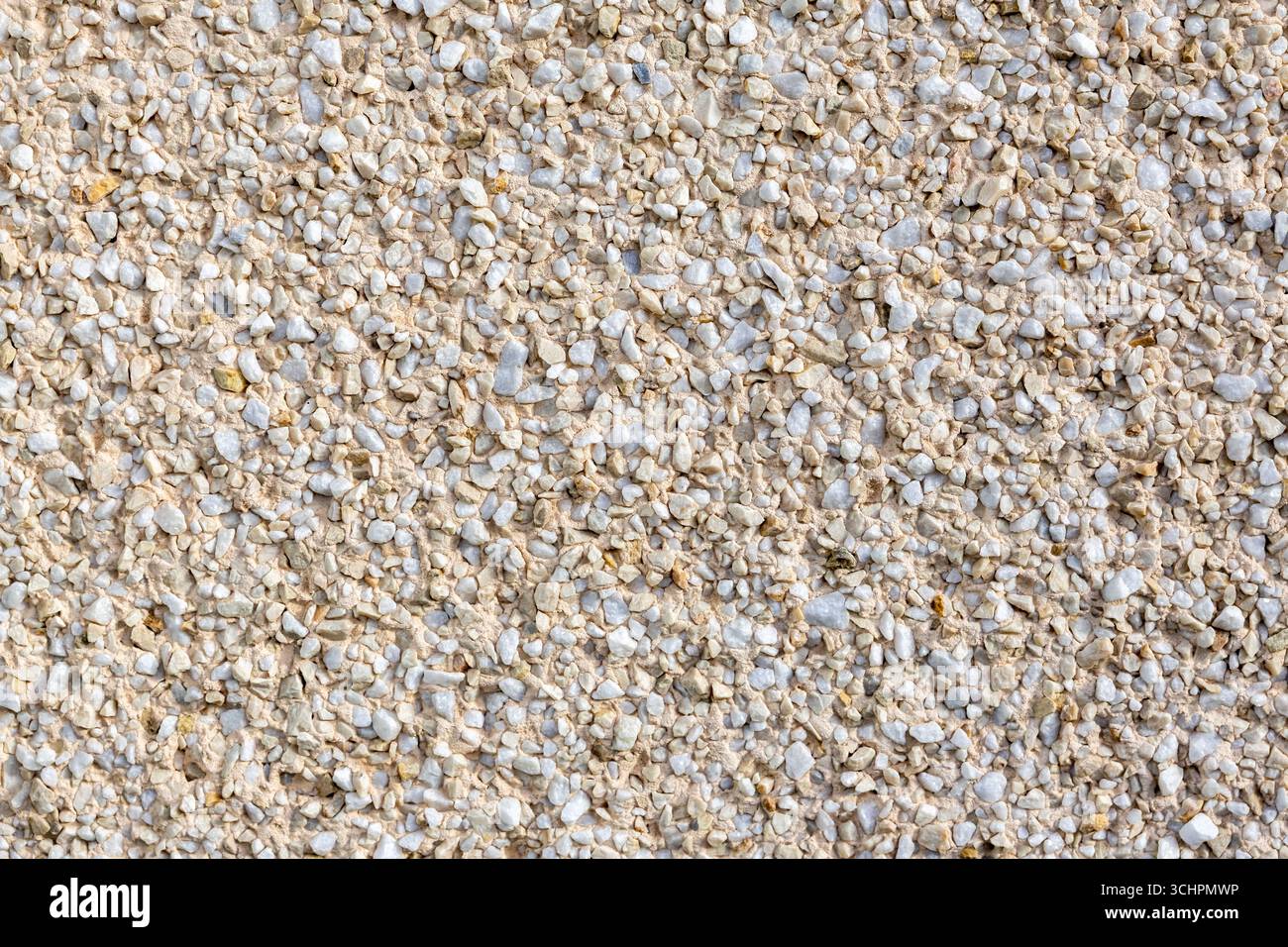 Primo piano di Pebbledash su un muro Foto Stock
