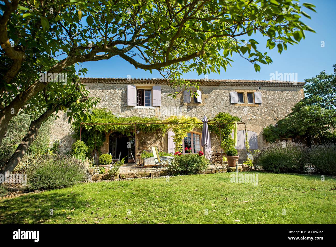 Casa di pietra con cespugli di lavanda e prato verde Saint Martin De Crau Francia // SAINT-MARTIN-DE-CRAU, Francia - Una casa di pietra con cespugli di lavanda e un prato verde è visto nella regione della Provenza in Francia. La tradizionale architettura provenzale presenta una facciata in pietra, tetto piastrellato e persiane di colore chiaro. Il verde lussureggiante circonda la casa, incluso un albero maturo che fornisce ombra sul prato e le viti che arrampicano adornano l'esterno. Questo pittoresco ambiente rurale è caratteristico della campagna francese. Foto Stock