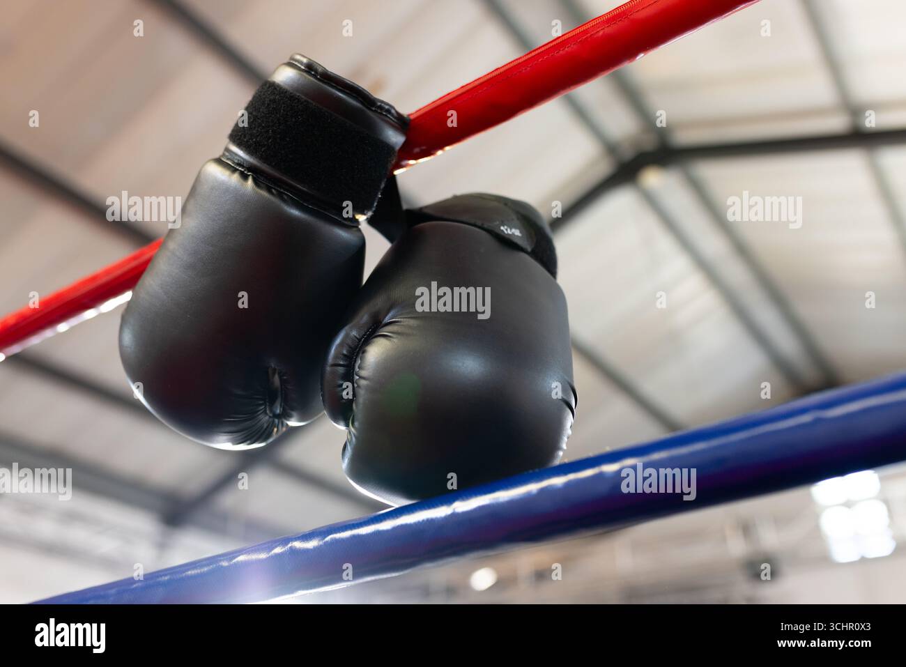 I guanti da boxe neri si staccano dalla fune rossa sopra la fune blu sotto le travi luminose del soffitto Foto Stock