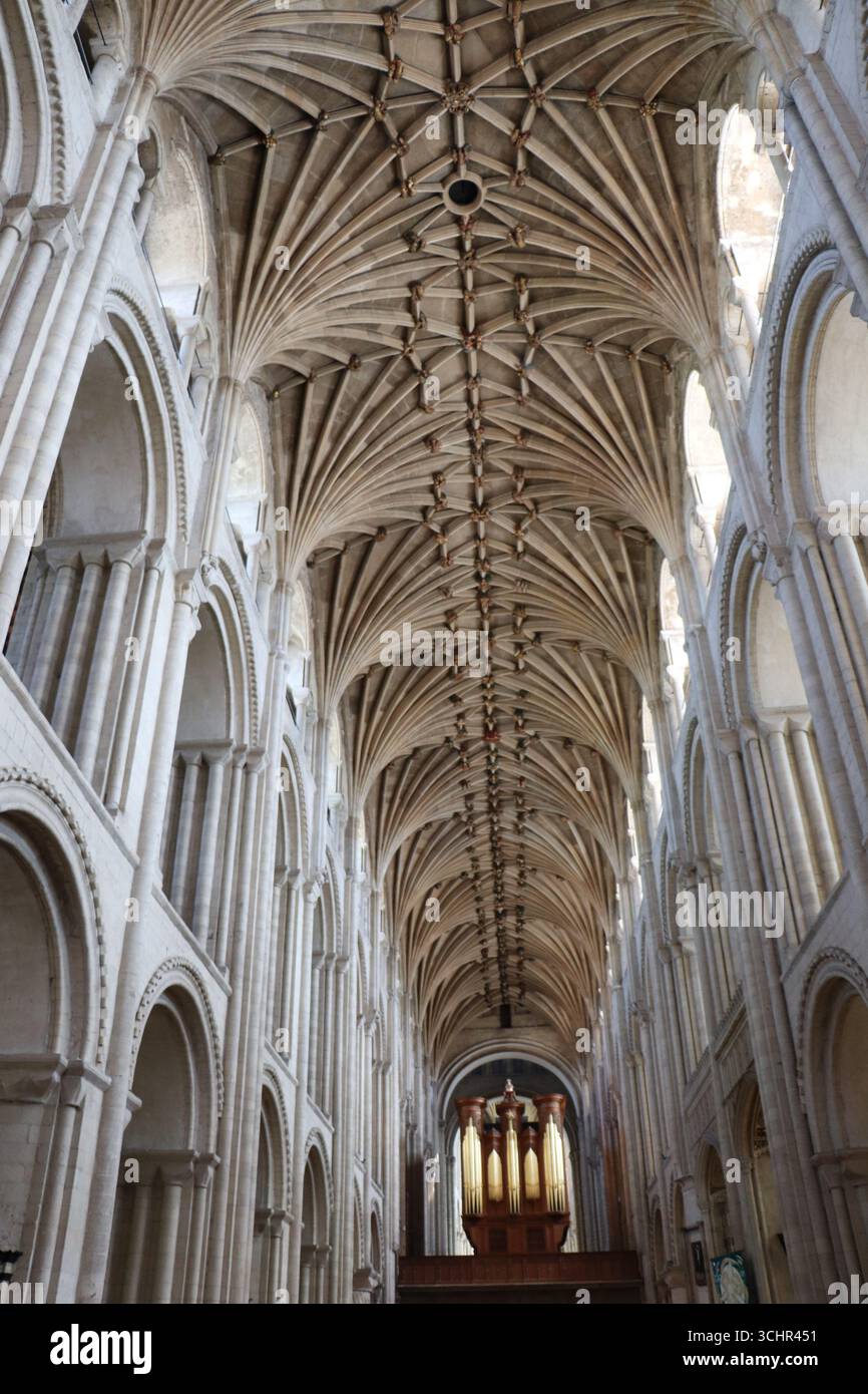 Interno della cattedrale anglicana di Norwich Foto Stock