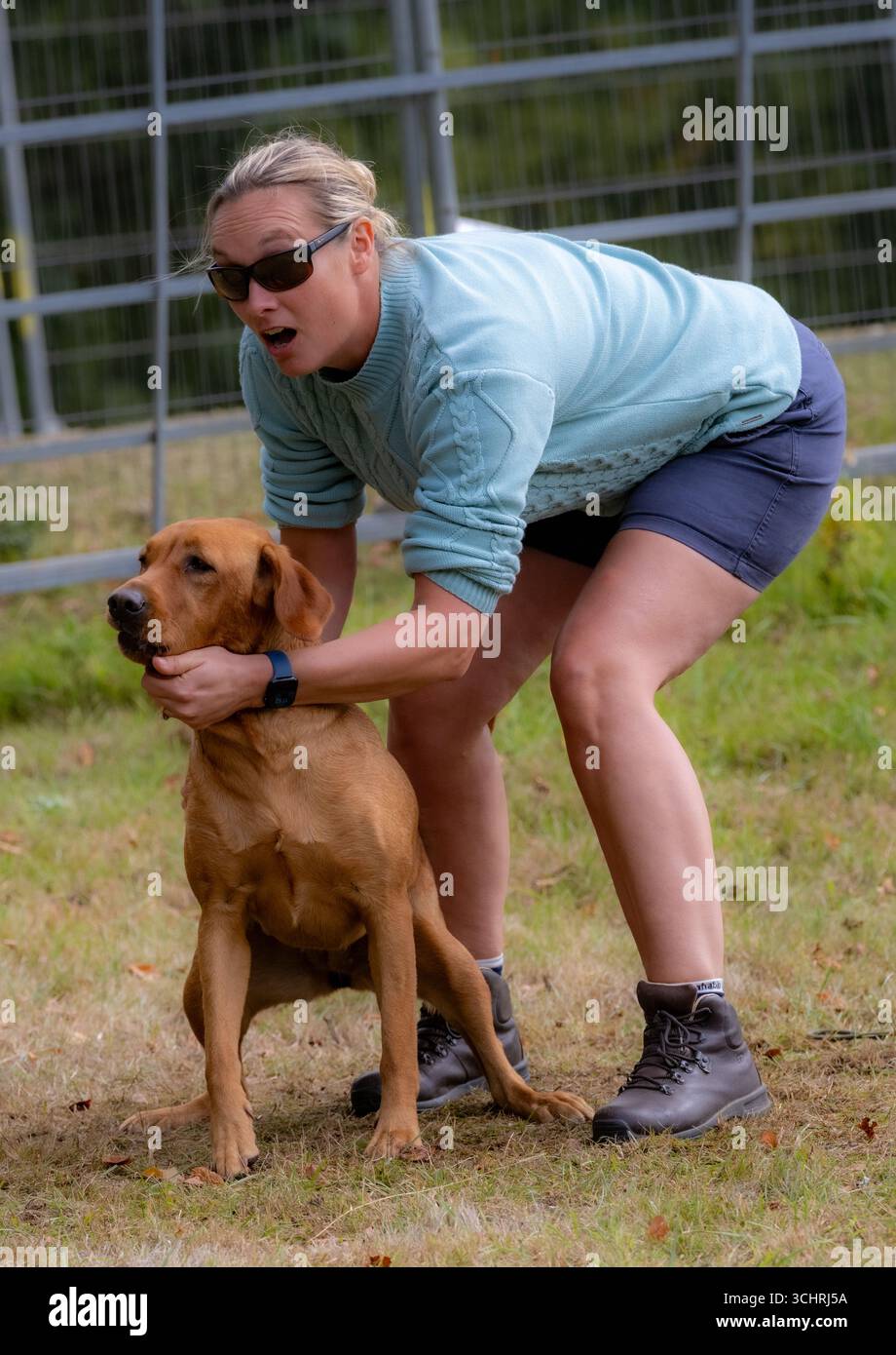 Allevamento di cani per andare. Chatsworth Country Fair, Derbyshire, Regno Unito Foto Stock