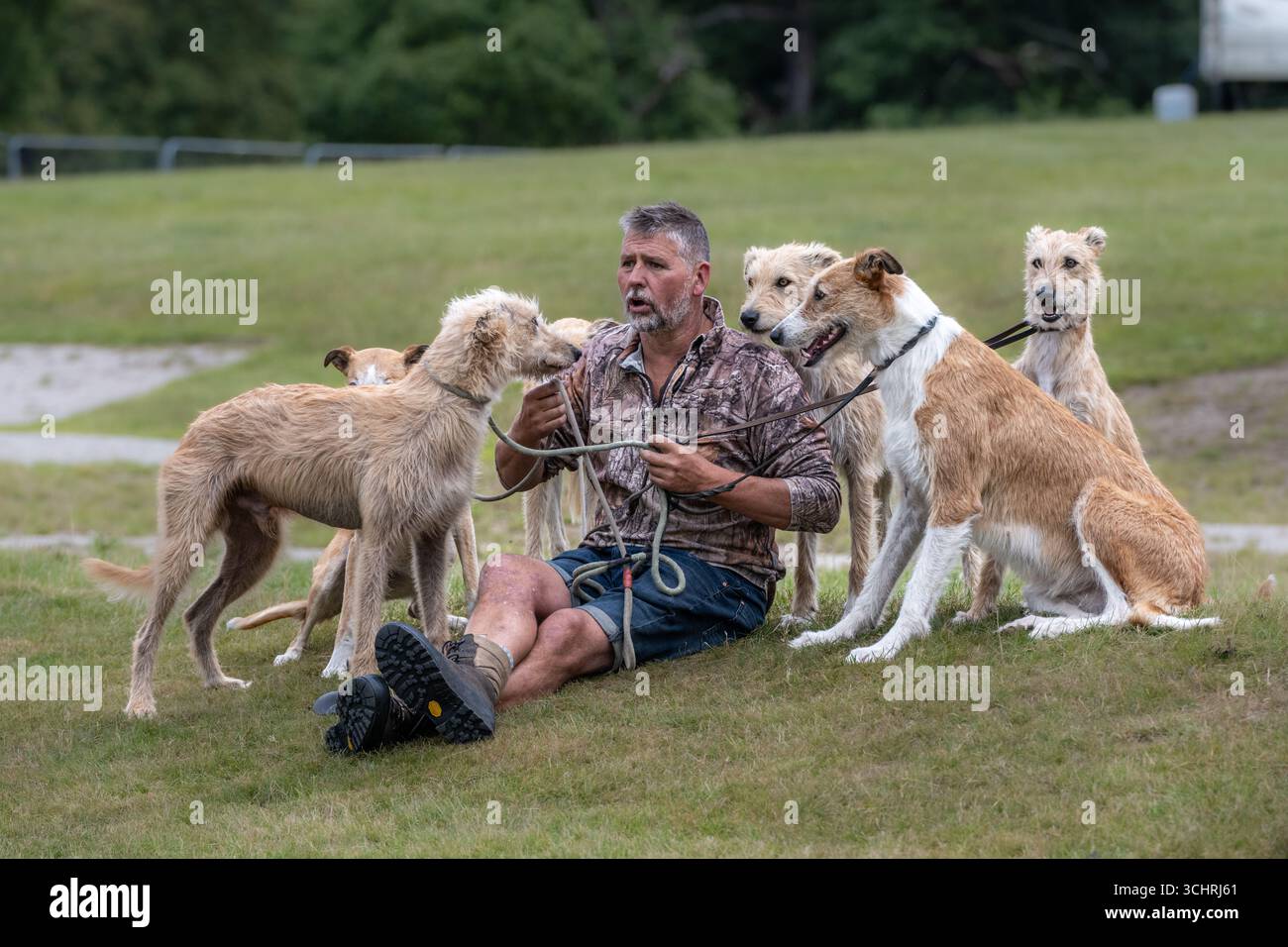 Badando ai cani, il migliore amico dell'uomo. Chatsworth Country Fair, Derbyshire, Regno Unito Foto Stock