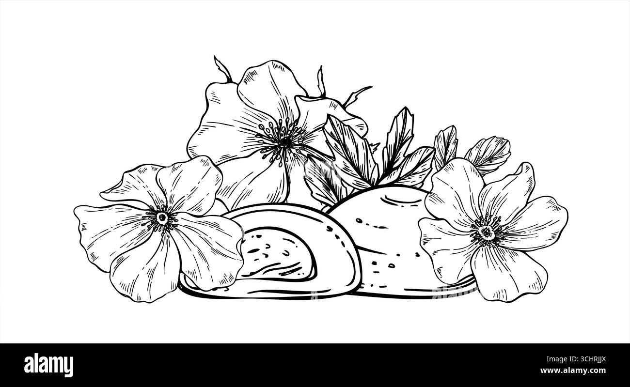 Deliziosi mochi in vari ripieni tra fiori rosehip illustrazione vettoriale in bianco e nero isolato. Disegno floreale daifuku o wagashi heap. Illustrazione Vettoriale