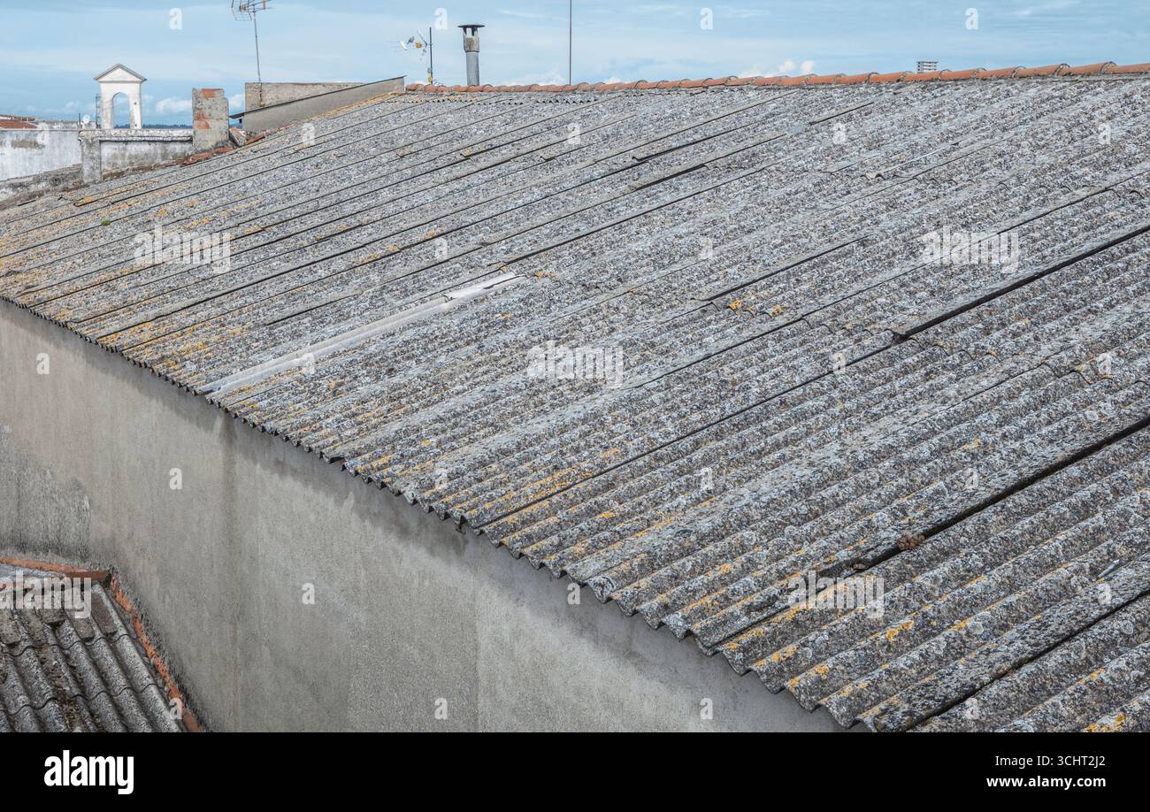 Vecchio tetto ondulato in fibra di cemento. Materiale da costruzione nocivo e in disuso Foto Stock