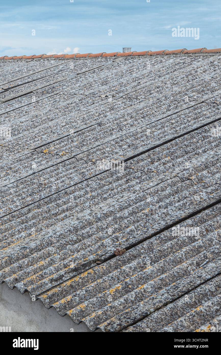Vecchio tetto ondulato in fibra di cemento. Materiale da costruzione nocivo e in disuso Foto Stock