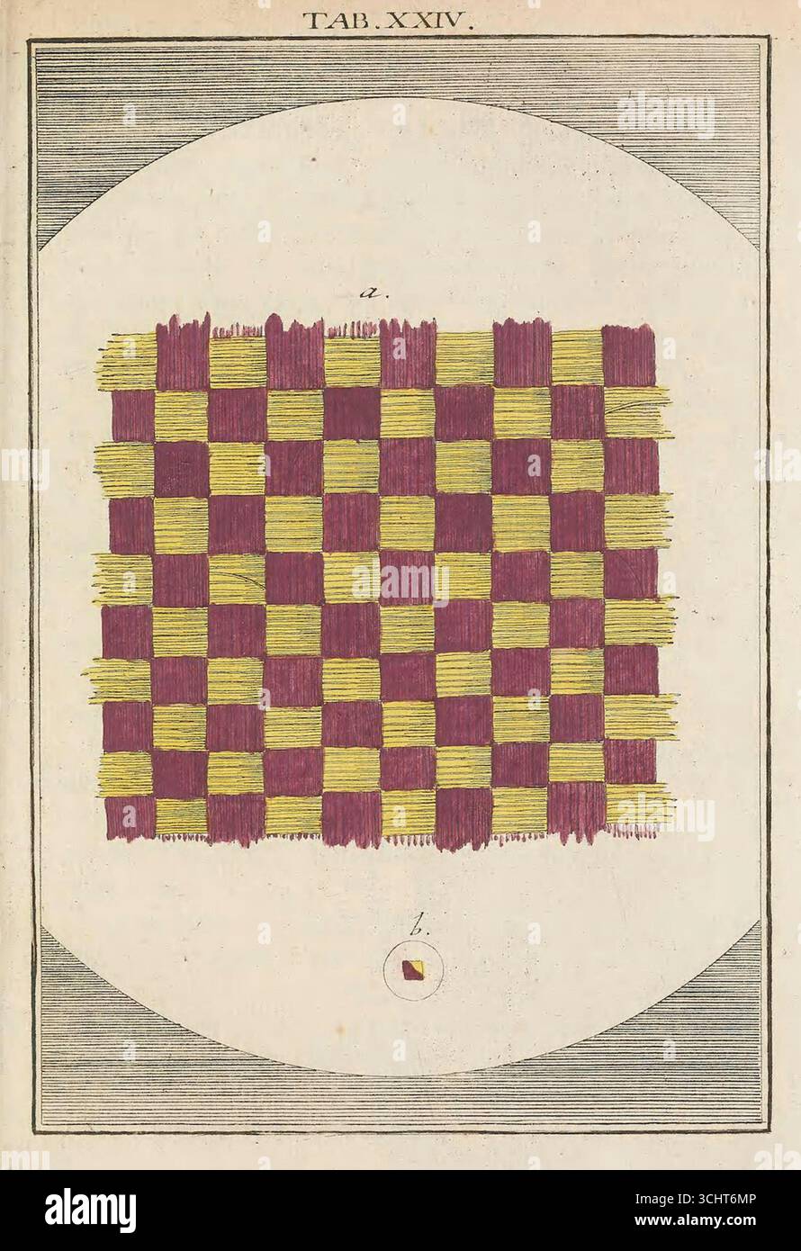 Illustrazione scientifica storica delle fibre tessili della taffeta dal libro Microscopic Delights di Martin Frobenius Ledermüller, volume I. Norimberga, Germania. 1759-1763. Foto Stock