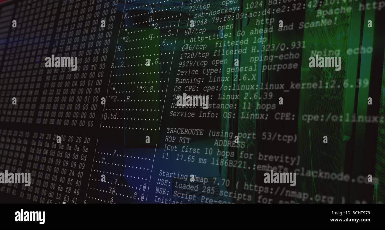 Visualizzazione del terminale che mostra la scansione Nmap su schermo scuro, con porte TCP, dump esadecimale, flusso di codice verde Foto Stock