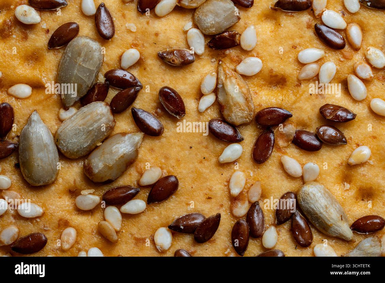 Sfondo e consistenza di biscotti a grani interi realizzati con semi di lino, sesamo e girasole, vista dall'alto. Biscotti di cereali sani e alla moda fatti in casa con Foto Stock