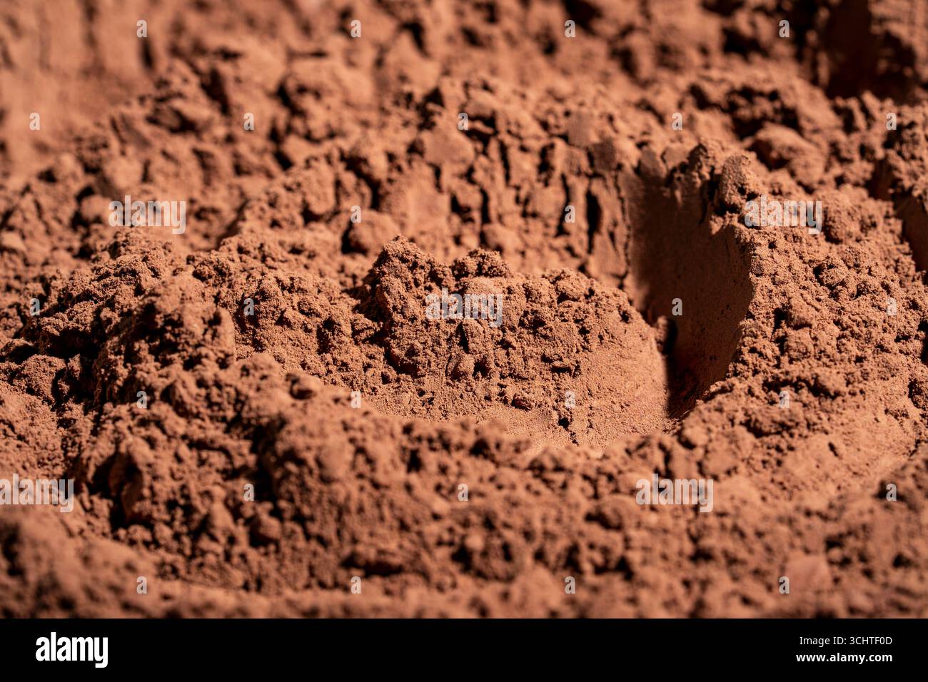 Fondo ruvido naturale in polvere di cacao marrone scuro, primo piano Foto Stock