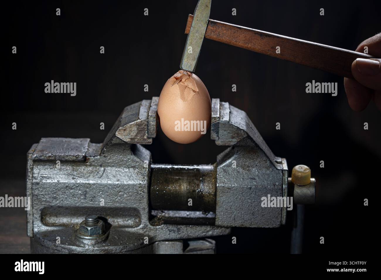 Hammer colpisce un uovo di gallina intrappolato nella vecchia morsa di metallo su sfondo scuro, primo piano. L'uovo di pollo viene pressato da una morsa da banco Foto Stock