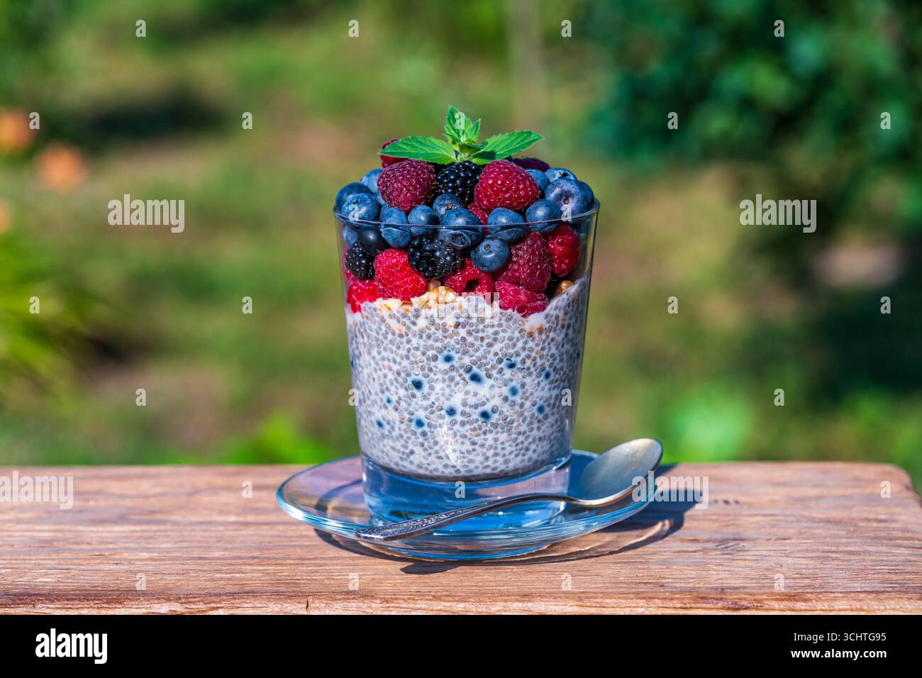 Budino di chia sano in un bicchiere con frutti di bosco freschi su sfondo naturale, primo piano, copia spazio. Semi di chia nel latte di cocco con lamponi e mirtilli Foto Stock