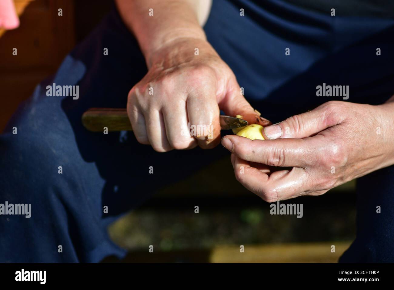 Primo piano di mani adulte che pescano patate fresche con un coltello alla luce del sole. Autentica preparazione del cibo di campagna e semplice momento di stile di vita rurale dal Foto Stock