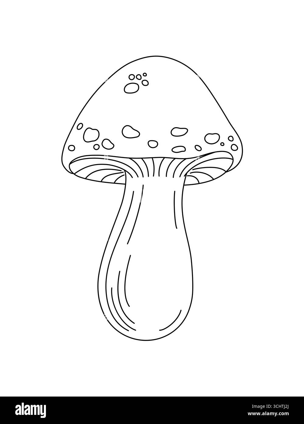 Boscaglia fungo commestibile bolo giallo, illustrazione vettoriale fungo miele, contorno stagionale autunno doodle disegno ingrediente dieta vegetariana sano per il design del menu, immagine disegnata a mano Illustrazione Vettoriale