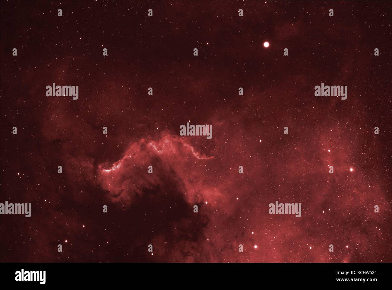 Wimbledon, Londra, Regno Unito. 3 settembre 2025. Il muro di Cygnus nella Nebulosa del Nord America, una fotografia dettagliata ad alta risoluzione che utilizza un filtro a banda stretta alfa Hydrogen per migliorare i dettagli nella nube di gas a forma di stella. Catturato da Londra in una chiara serata autunnale. Crediti: Malcolm Park/Alamy Live News Foto Stock