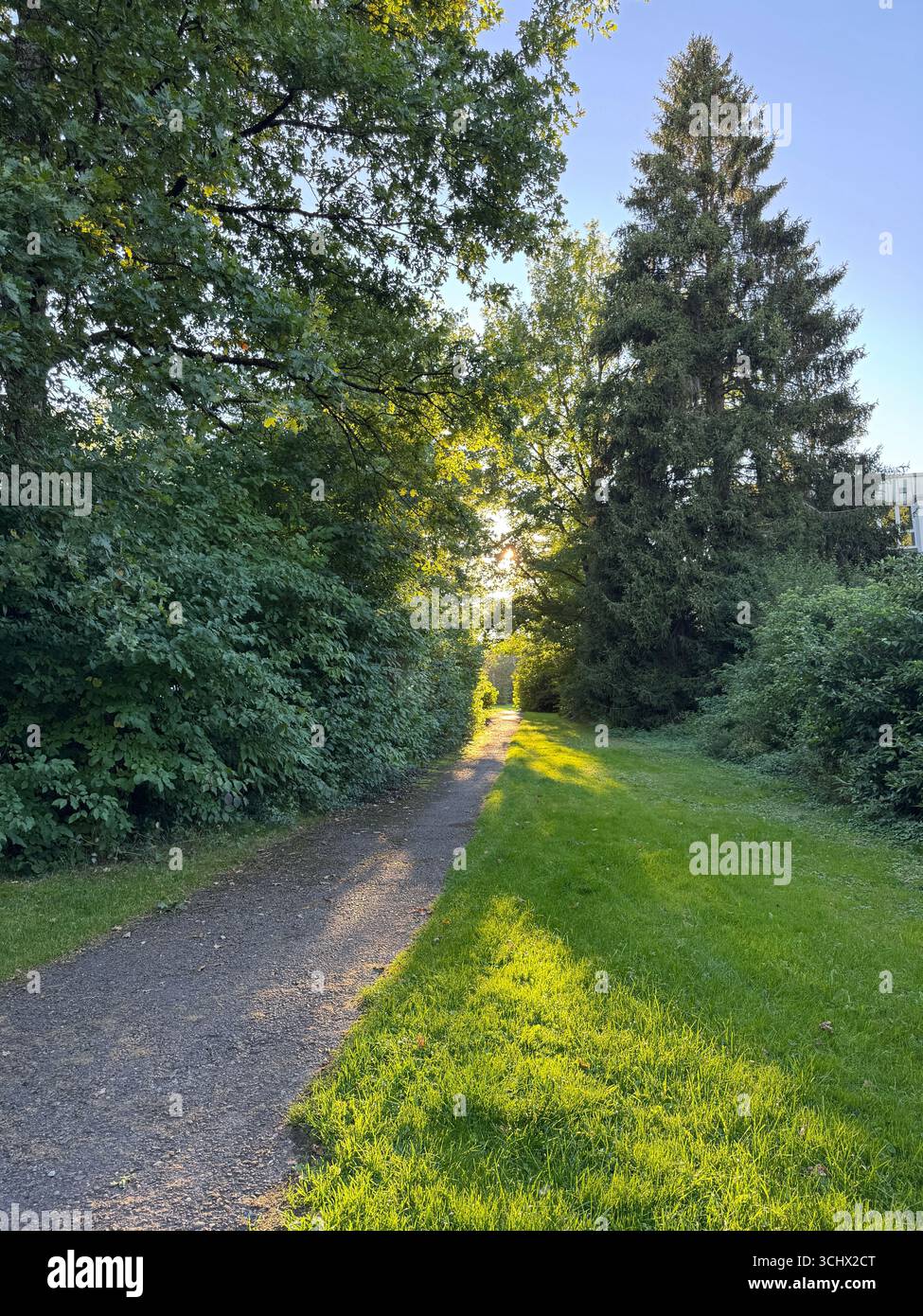 Un sentiero soleggiato si snoda attraverso una vegetazione lussureggiante e la splendida natura intorno a te Foto Stock