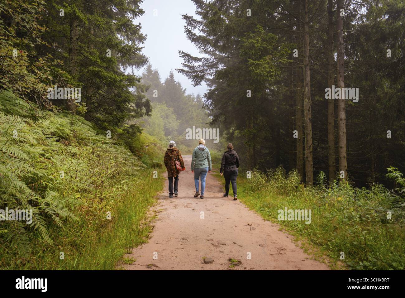 Tre persone camminano su un sentiero nella foresta tra alberi alti in un'atmosfera rilassata, Mummelsee, Seebach, Ortenau District, Foresta Nera, Germania Foto Stock
