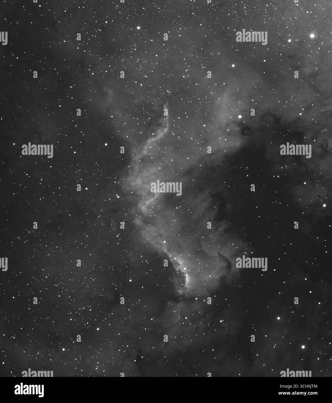Wimbledon, Londra, Regno Unito. 3 settembre 2025. Il muro di Cygnus nella Nebulosa del Nord America, una fotografia dettagliata ad alta risoluzione che utilizza un filtro a banda stretta alfa Hydrogen per migliorare i dettagli nella nube di gas a forma di stella. Crediti: Malcolm Park/Alamy Foto Stock