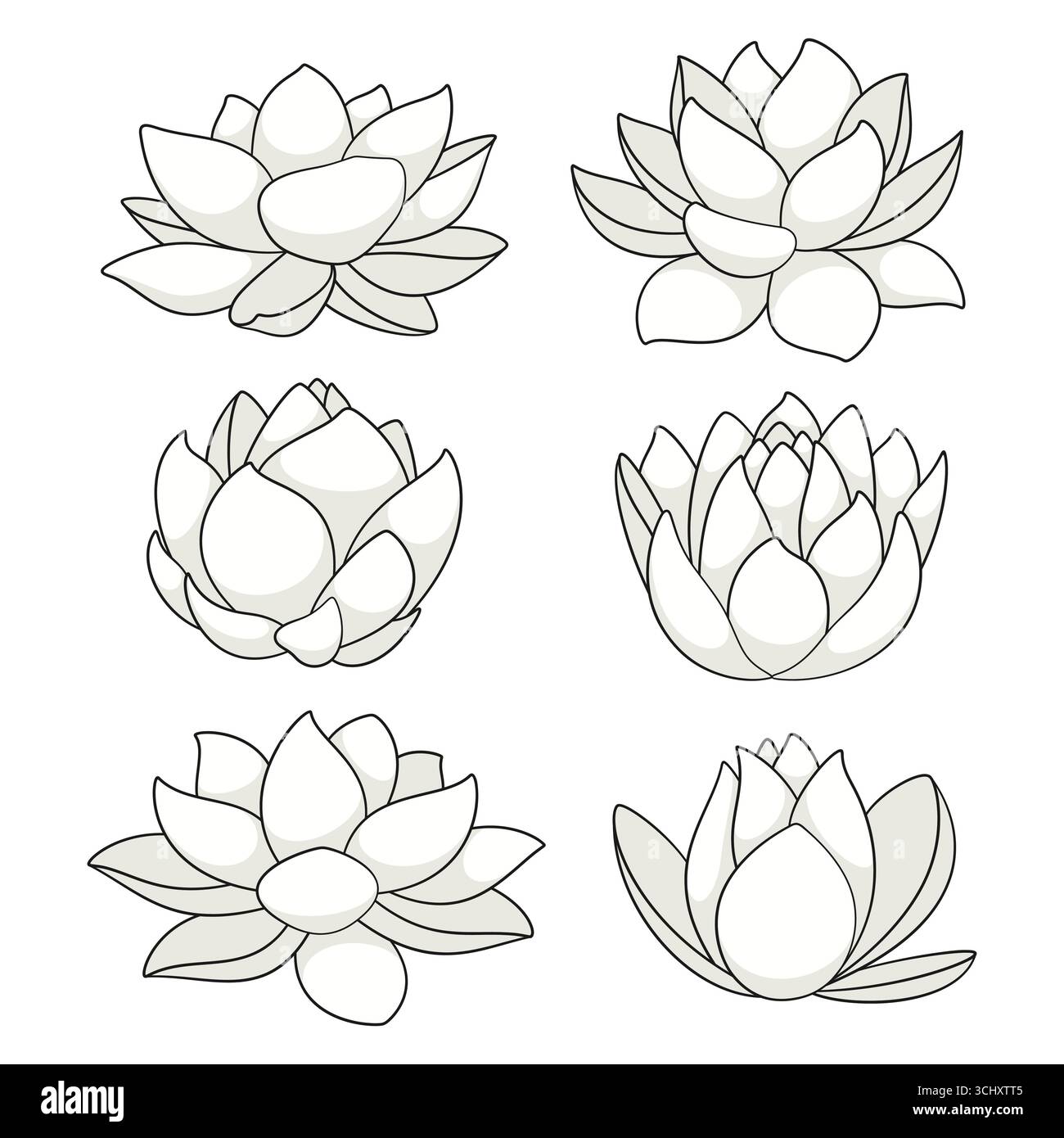 Serie di illustrazioni a colori con giglio d'acqua bianca e loto. Oggetti vettoriali isolati su sfondo bianco. Illustrazione Vettoriale
