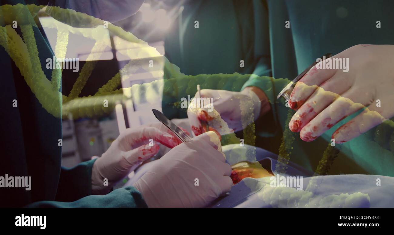 Utilizzo di chirurghi in scrub con pinze per bisturi divaricatore in sala operatoria, teli e vassoio Foto Stock