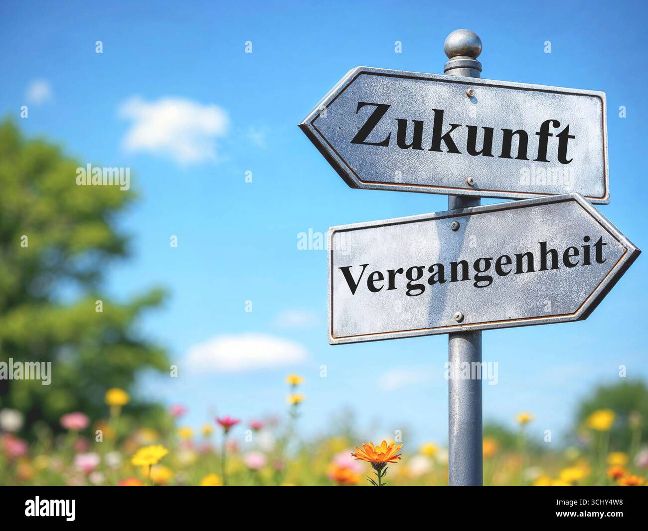 Cartelli che puntano in direzioni diverse: Futuro o passato, composizione, Germania Foto Stock