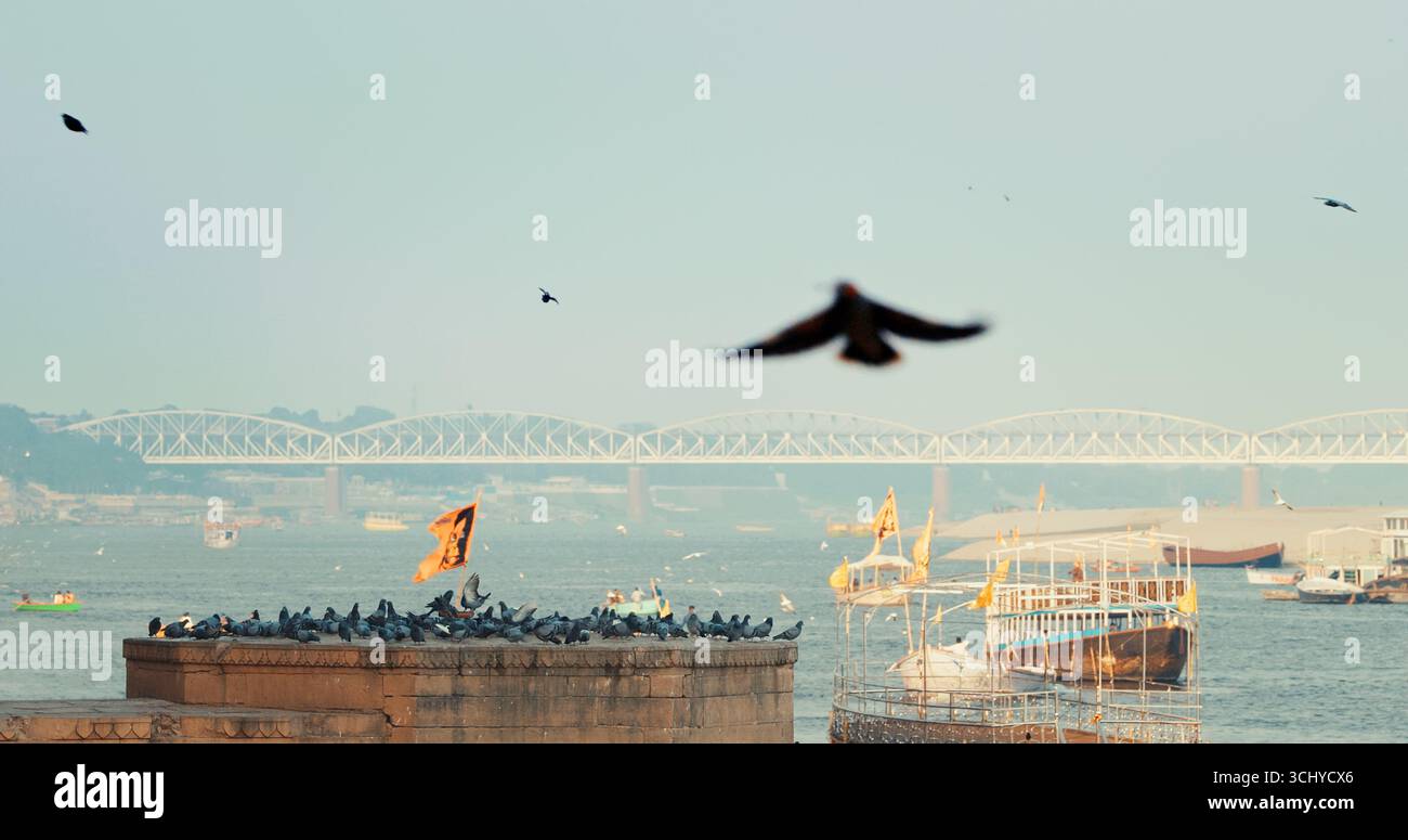 Varanasi, India. Decollo degli uccelli dal Sacro Ghat a Varanasi. I piccioni volano su a Slow Mo. Volo degli uccelli. Bandiere arancioni che sventolano in Slow Mo, simboleggiano Foto Stock