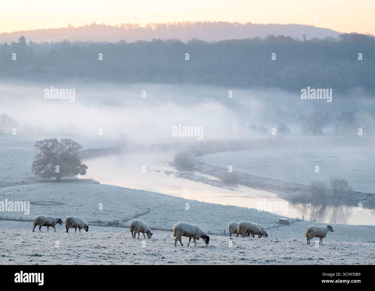 Un'alba nebbiosa e gelida sul fiume Severn a Leighton, Shropshire Foto Stock