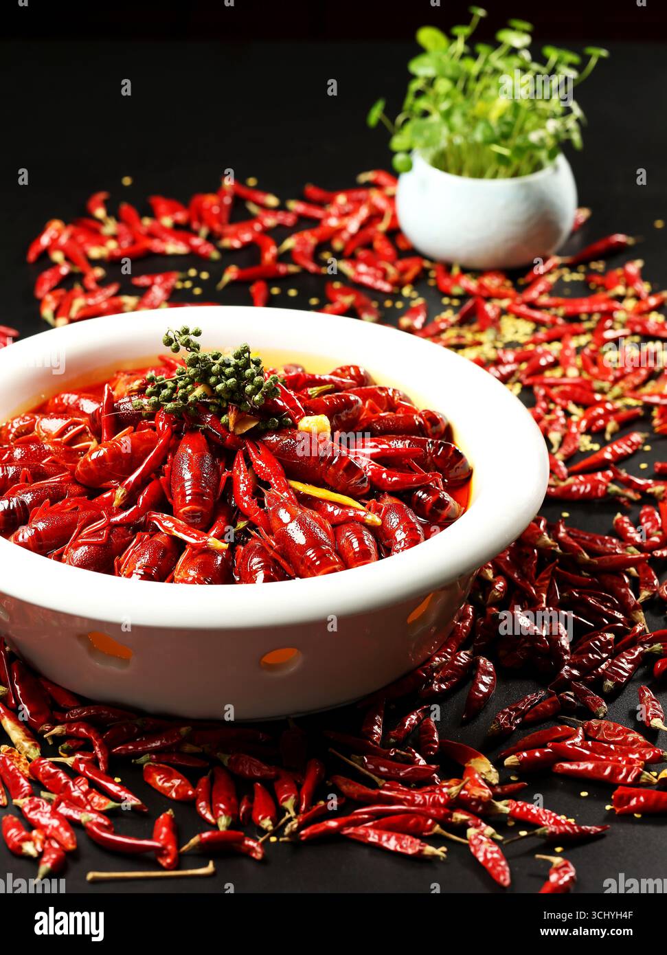 Gamberi Mala del Sichuan ammassati di peperoncini secchi nel White Bowl Foto Stock