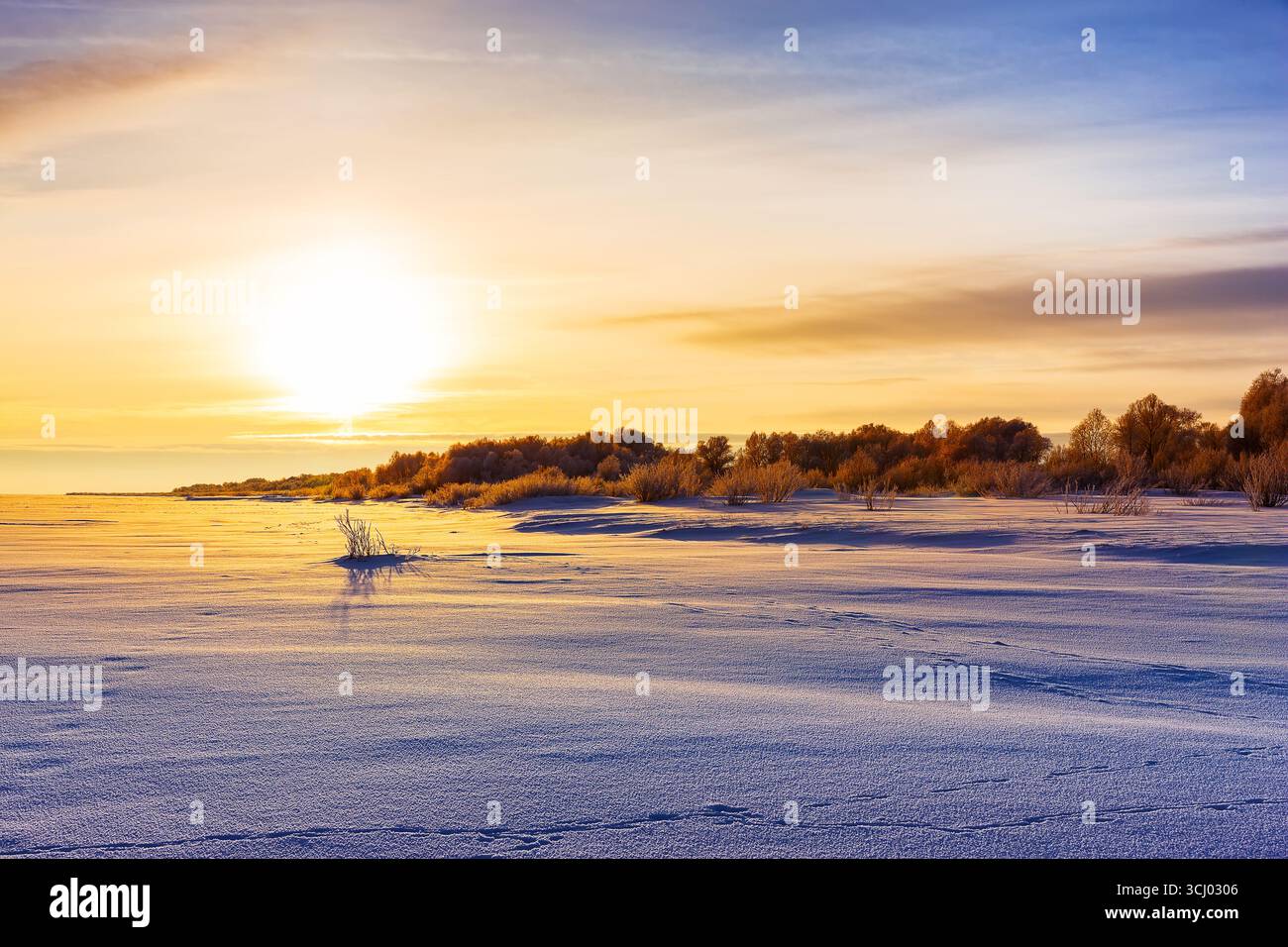 Vista panoramica del tramonto e del campo innevato. Campo coperto di neve nella stagione invernale fredda. Foto Stock