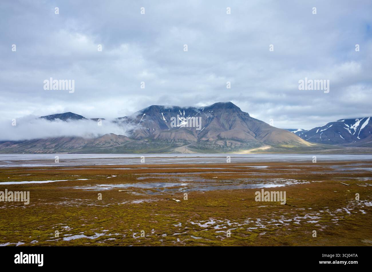 Paesaggio montano con nuvole vicino a Longyearbyen Svalbard Norvegia // LONGYEARBYEN, Svalbard — Un vasto paesaggio montano è avvolto da basse nuvole vicino a Longyearbyen, il più grande insediamento sull'arcipelago norvegese delle Svalbard. Il terreno presenta cime e pendii aspri e innevati punteggiati da macchie di vegetazione verde e roccia esposta. In primo piano, un'area paludosa, simile a una tundra, è caratterizzata da un terreno muscoloso e da pozze d'acqua sparse. L'arcipelago delle Svalbard si trova nell'Oceano Artico, a metà strada tra la Norvegia continentale e il Polo Nord. Foto Stock