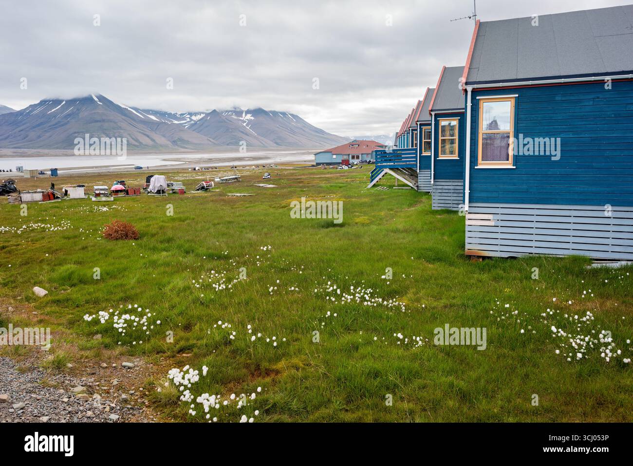Longyearbyen Svalbard Paesaggio artico con montagne e cotongrass | LONGYEARBYEN, Svalbard — Una fila di case codificate a colori delimita una pianura di tundra fitta di cotongrass, con in sfondo montagne basse parzialmente velate dalle nuvole. Lo schema della facciata, attribuito alla designer Grete Smedal, un tempo distingueva gli edifici in base alla funzione in quella che era a lungo una città aziendale chiusa gestita da Store Norske Spitsbergen Kulkompani. I capolini di cotongrass sono tra le viste più riconoscibili della breve estate artica qui. Foto Stock