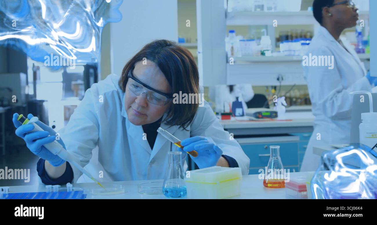 Trasferimento del liquido colorato in una capsula Petri sul banco da laboratorio da parte di uno scienziato mediante pipetta, con matracci Foto Stock