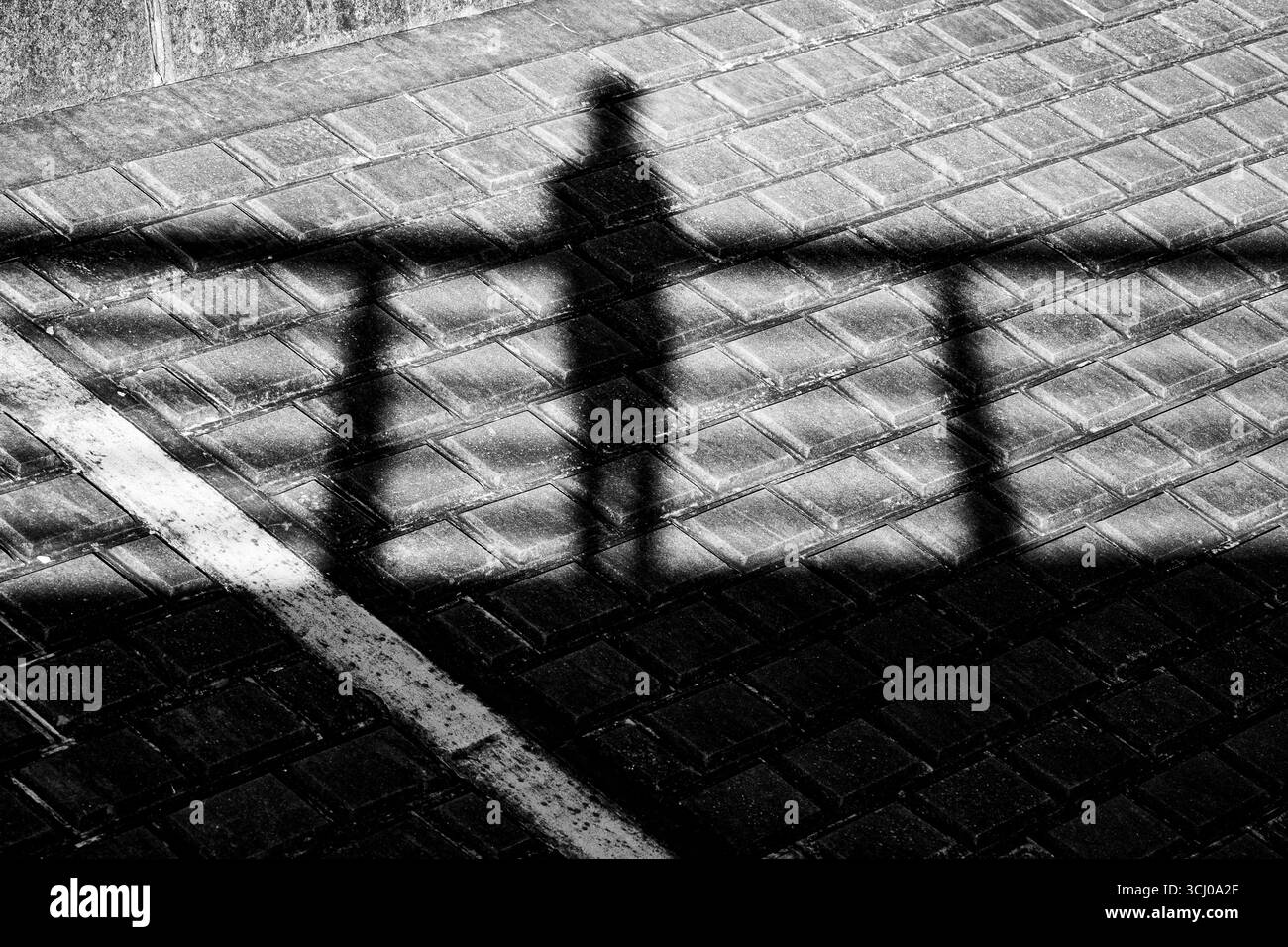 Fotografia di strada monocromatica al ponte Sanwa, Katsushika, Tokyo, Giappone: Ombre astratte, luce e geometria catturate in bianco e nero. Foto Stock Fotografia di strada monocromatica al ponte Sanwa, Katsushika, Tokyo, Giappone: Ombre astratte, luce e geometria catturate in bianco e nero. Foto Stock